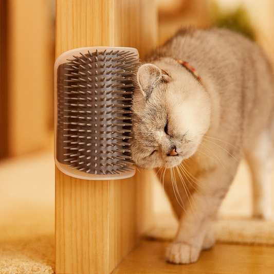 Brosse de Massage pour Chat – Peigne de Coin Amovible, Auto-Grattoir, Retire les Poils, Nettoyage & Beauté pour Chats et Chatons