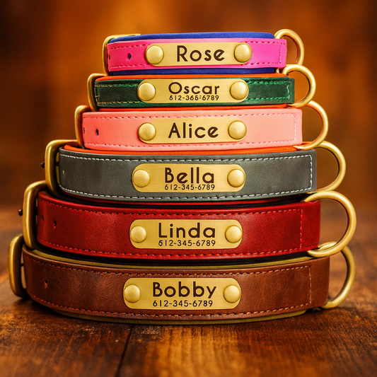 Collier pour chien personnalisable en cuir PU – Gravure gratuite, nom et numéro, ajustable et rembourré pour petit, moyen et grand chien