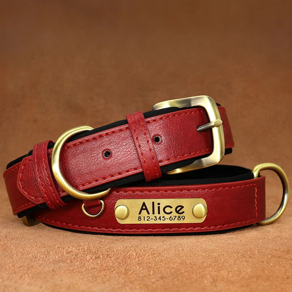 Collier pour chien personnalisable en cuir PU – Gravure gratuite, nom et numéro, ajustable et rembourré pour petit, moyen et grand chien